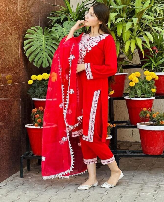 3pcs Women Stitched Organza Embroidered Suit