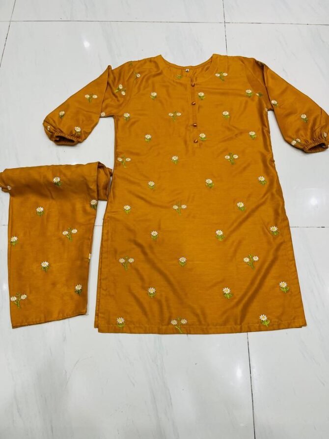 2pcs Women Stitched Linen Embroidered Suit